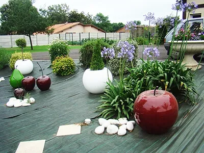 Aménagement paysager décoratif avec pots et plantes, jardin extérieur