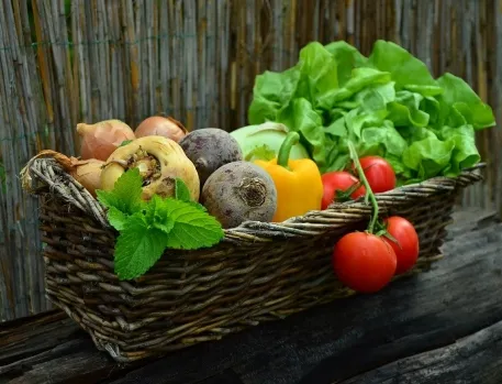 Le jardin des saveurs
