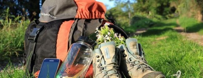 Terra Aventura : la fabuleuse forêt des Landes