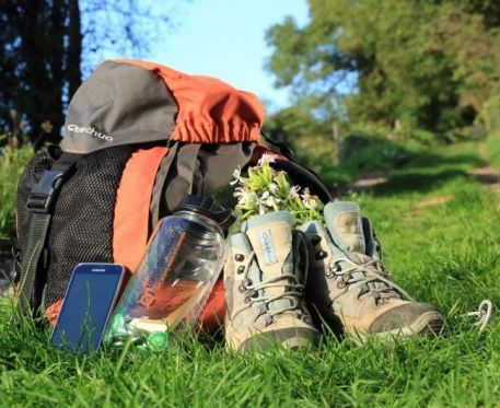 Terra Aventura : la fabuleuse forêt des Landes