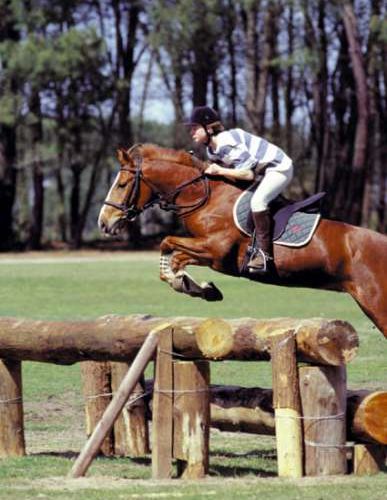 Centre Equestre