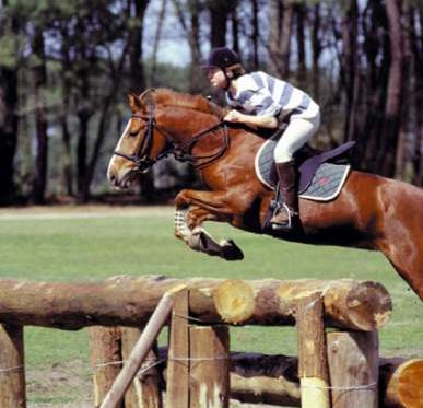 Centre Equestre