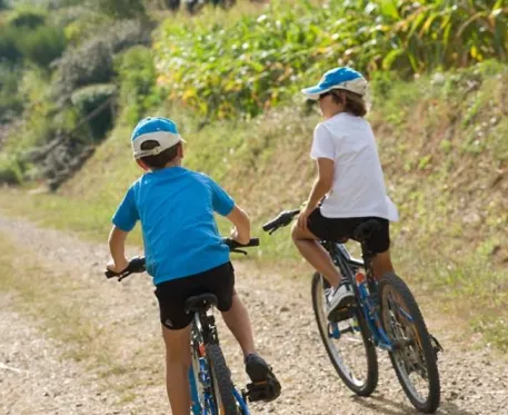 Location de vélos